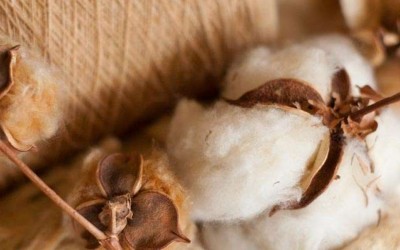 Eco-Friendly Toys and Natural Alternatives to Polyester Toy Stuffing