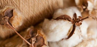 Eco-Friendly Toys and Natural Alternatives to Polyester Toy Stuffing