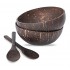 artzfly - Coconut Shell Crafts